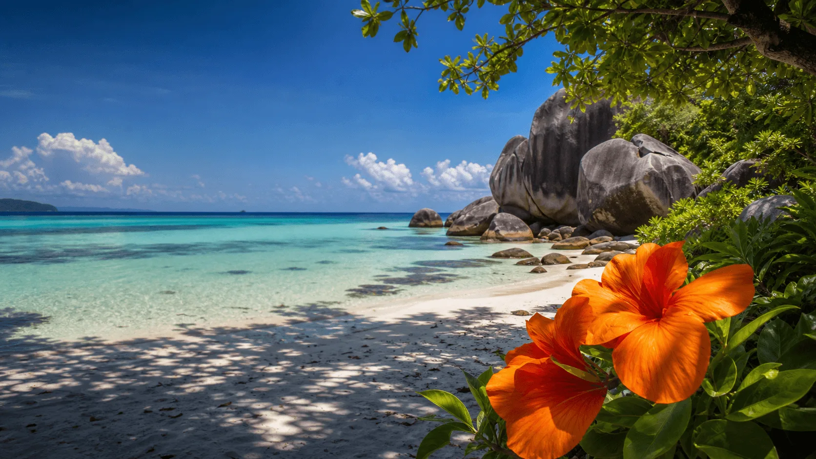 Seychelles hero lf v1